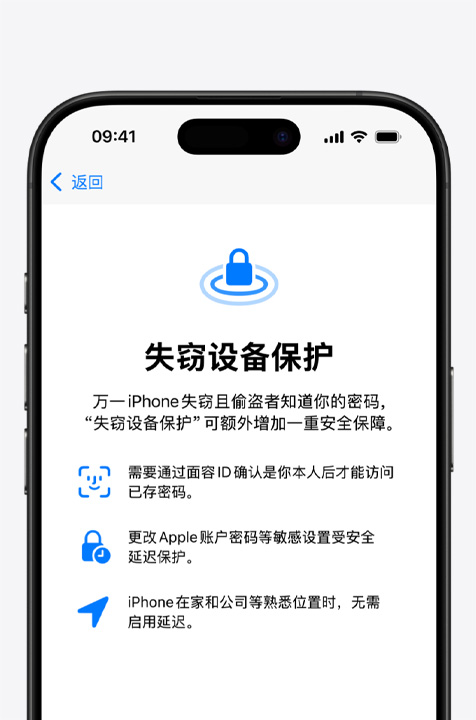 iPhone 屏幕上显示失窃设备保护的说明界面。